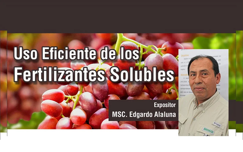 "Uso Eficiente de los Fertilizantes Solubles"