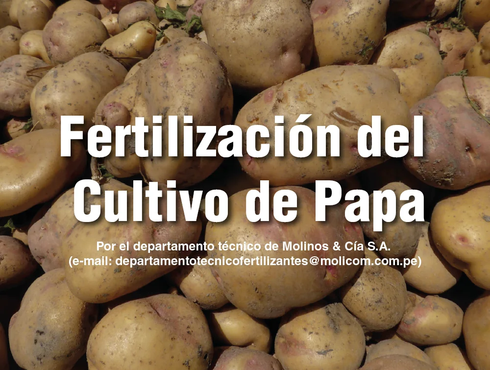 Fertilización del Cultivo de Papa